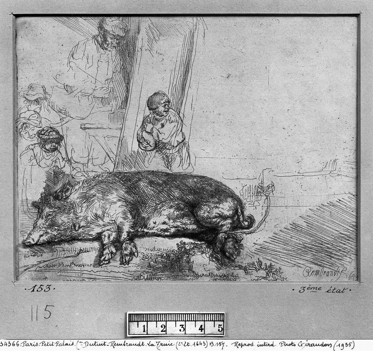 Sow, 1643 av Rembrandt van Rijn
