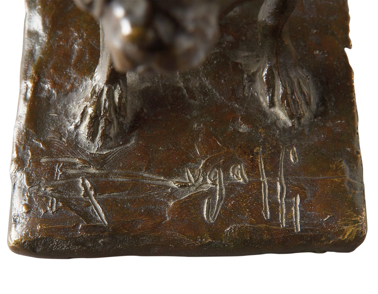 Detalj av en fransk bulldog, liten modell av Rembrandt Bugatti