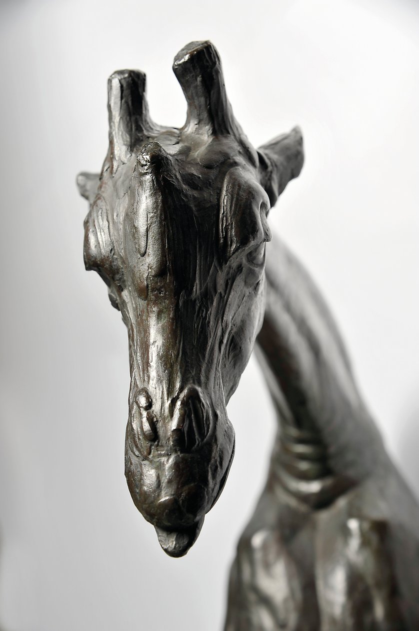 Stor giraff med senket hode, modellert 1909-10, støpt før 1913 (bronse) (se også 3084917-43) av Rembrandt Bugatti