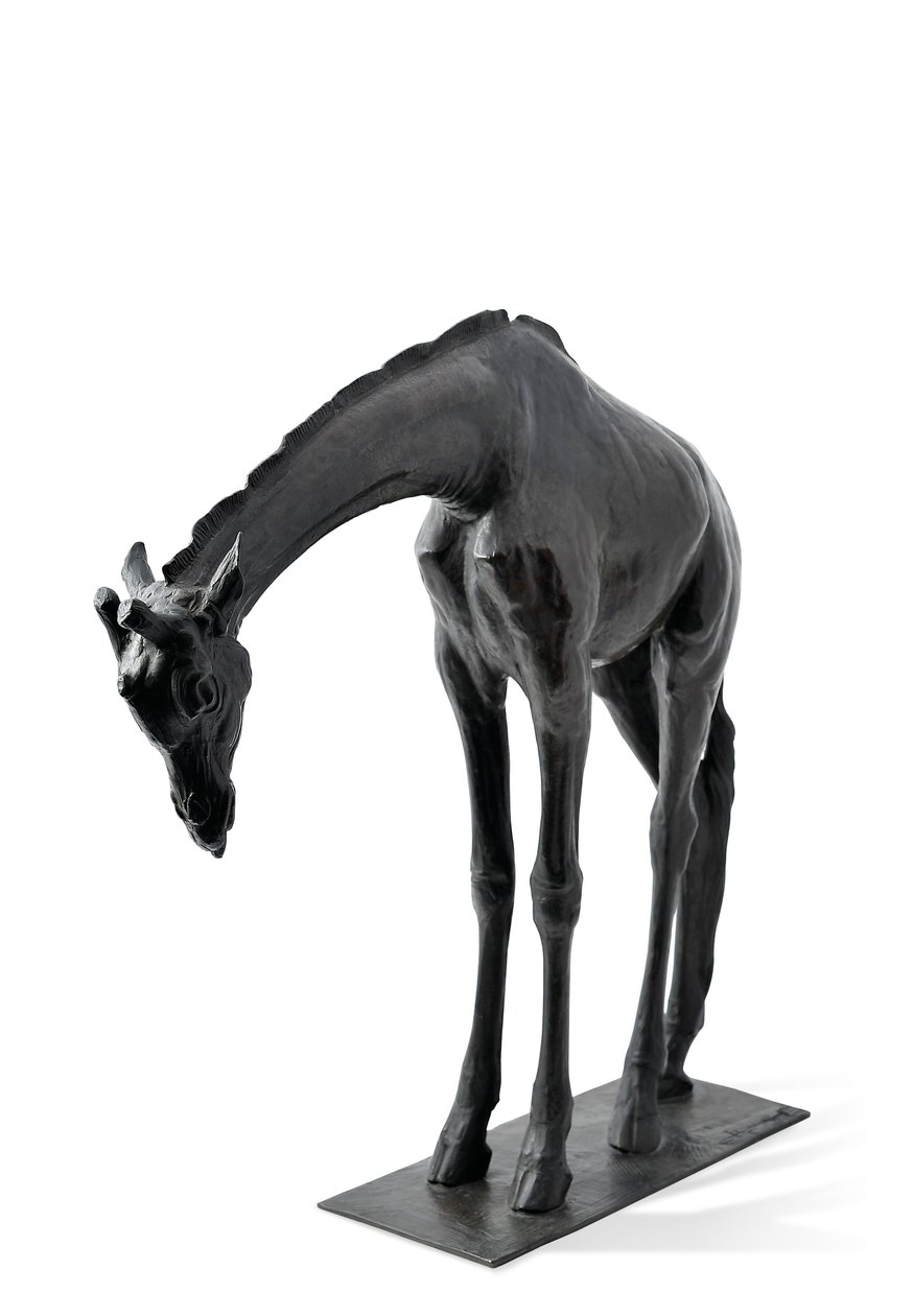 Stor giraff med senket hode, modellert 1909-10, støpt før 1913 (bronse) (se også 3084917-43) av Rembrandt Bugatti