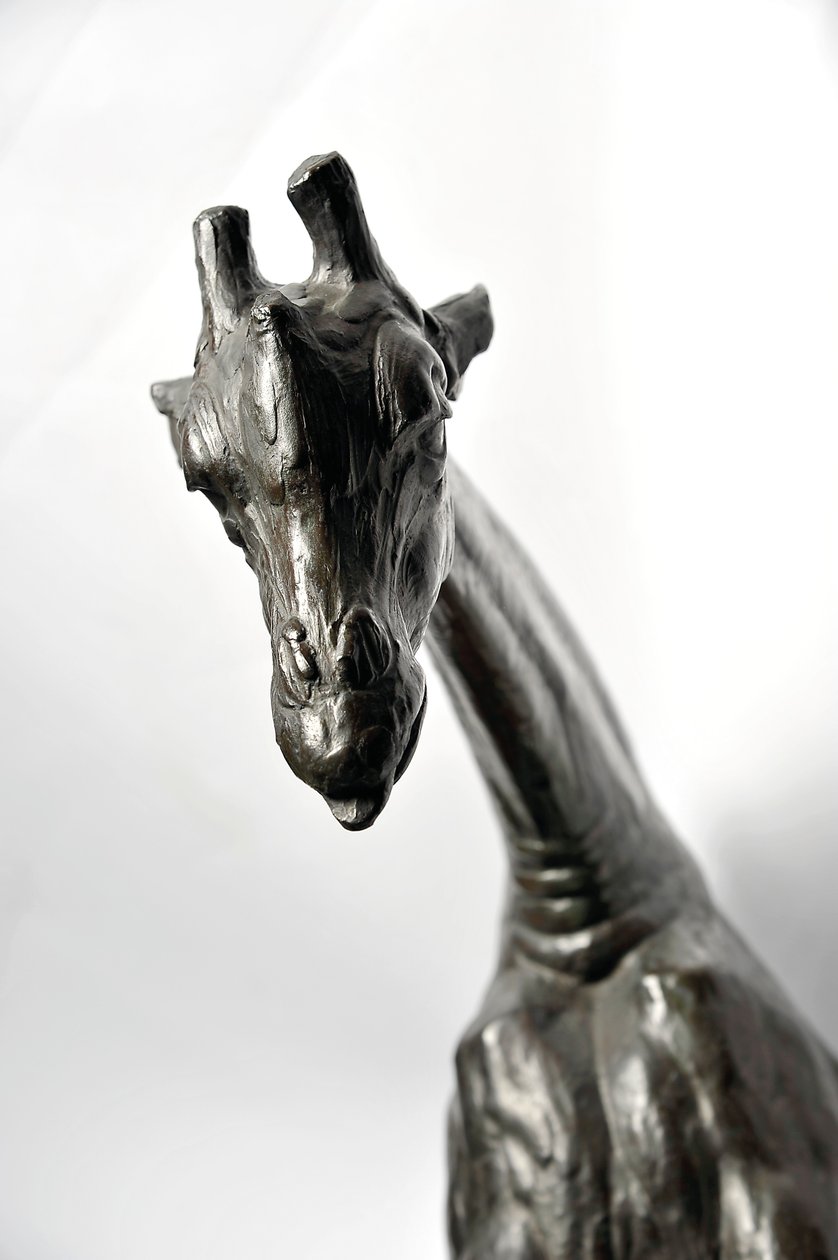 Stor giraff med senket hode, modellert 1909-10, støpt før 1913 (bronse) (se også 3084917-43) av Rembrandt Bugatti