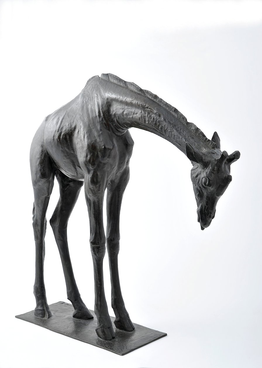 Stor giraff med senket hode, modellert 1909-10, støpt før 1913 (bronse) (se også 3084917-43) av Rembrandt Bugatti