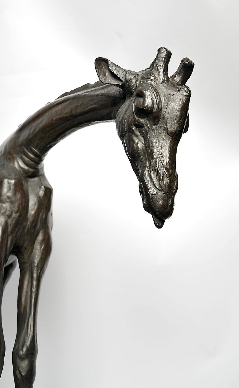 Stor giraff med senket hode, modellert 1909-10, støpt før 1913 (bronse) (se også 3084917-43) av Rembrandt Bugatti