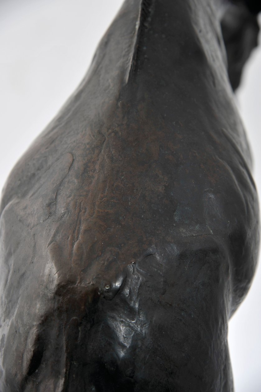 Stor giraff med senket hode, modellert 1909-10, støpt før 1913 (bronse) (se også 3084917-43) av Rembrandt Bugatti