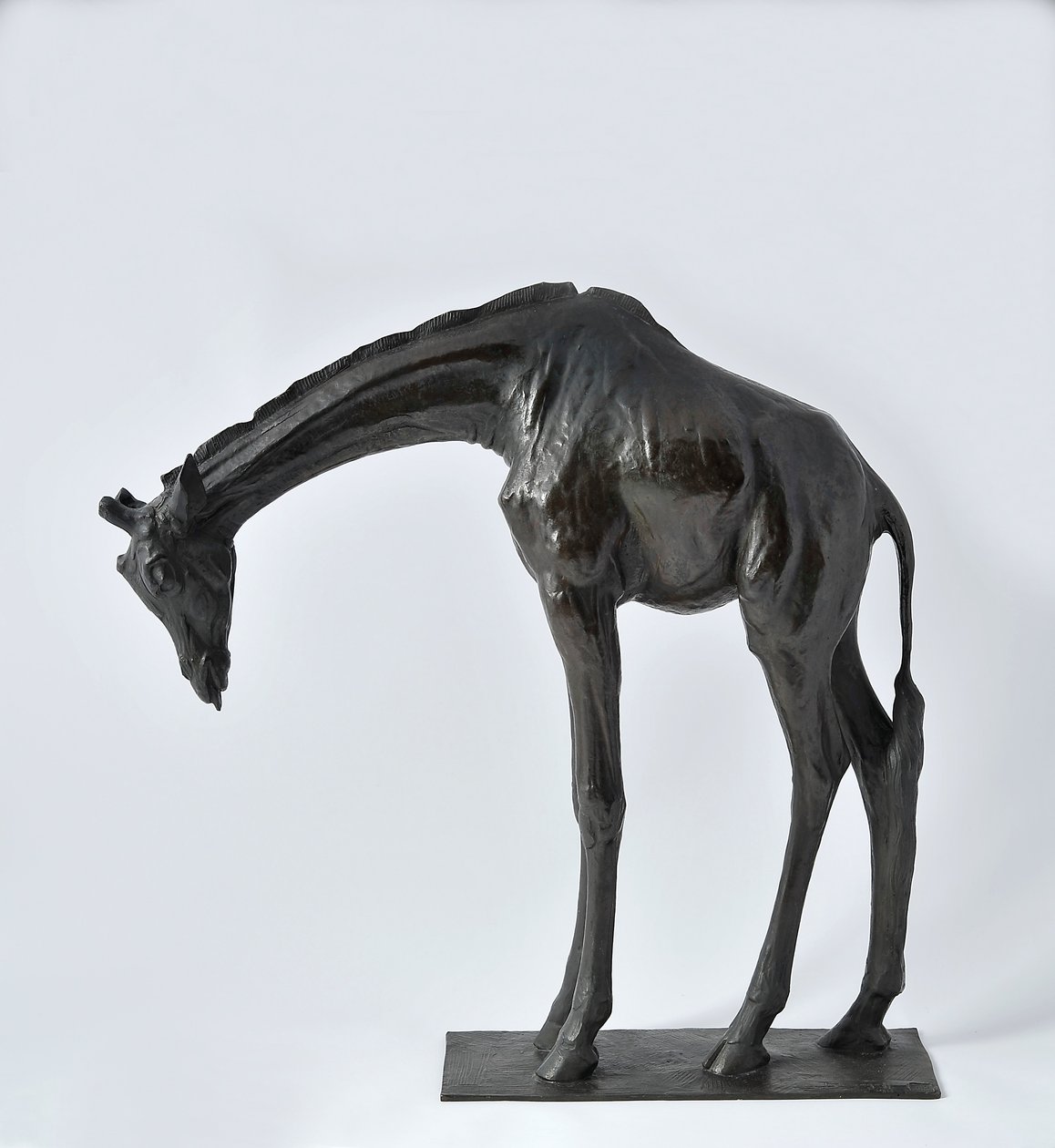 Stor giraff med senket hode, modellert 1909-10, støpt før 1913 av Rembrandt Bugatti
