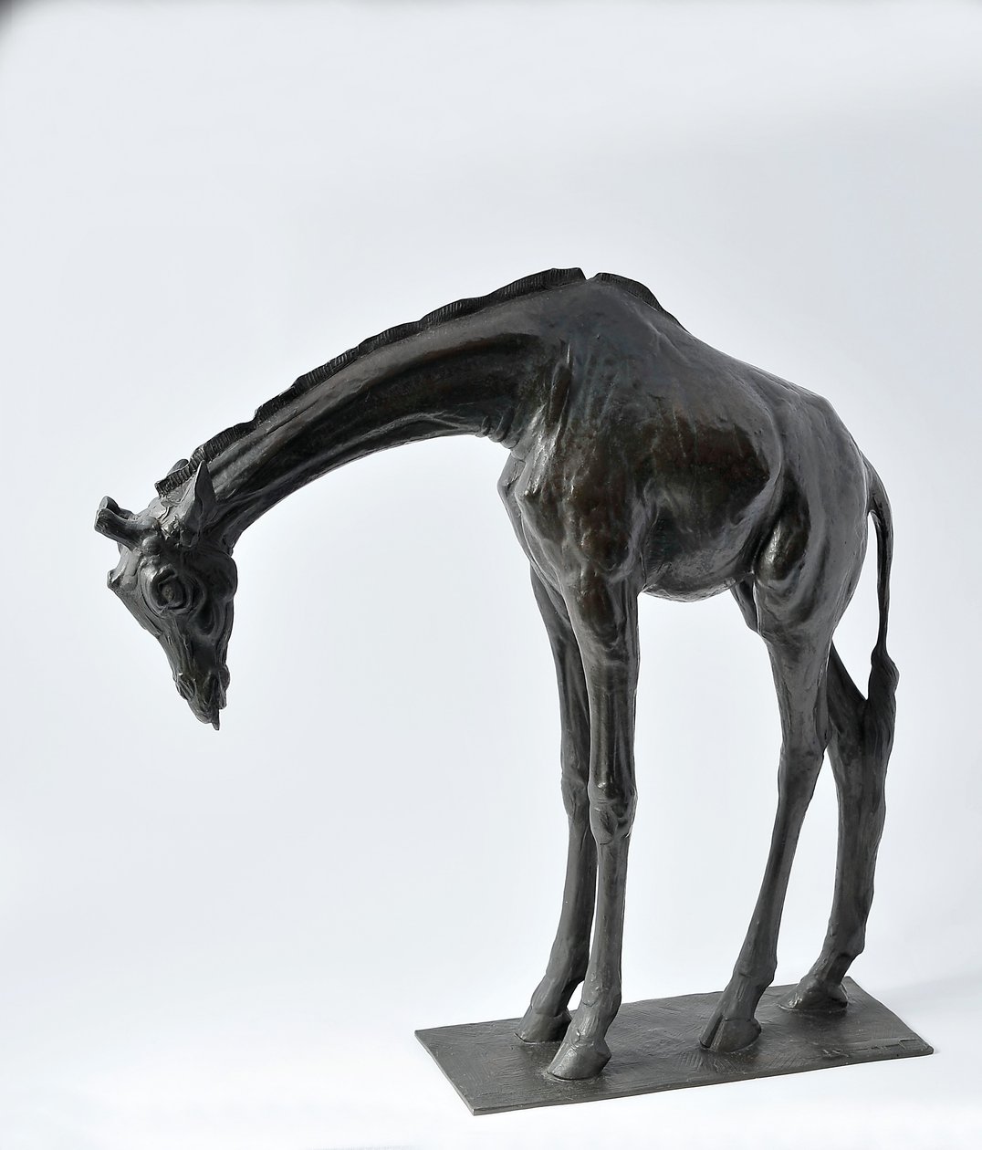 Stor giraff med senket hode, modellert 1909-10, støpt før 1913 av Rembrandt Bugatti