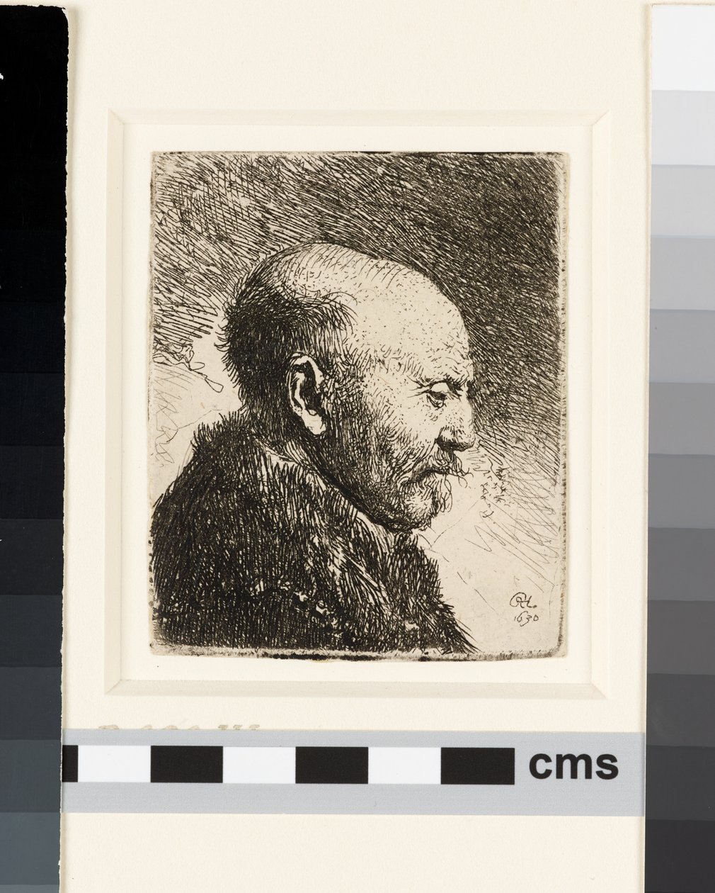 Skallet mann i profil ikke sant: Rembrandts far? av Rembrandt van Rijn