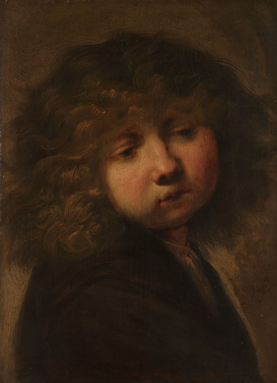 Hodet til en gutt av Rembrandt van Rijn (circle of)