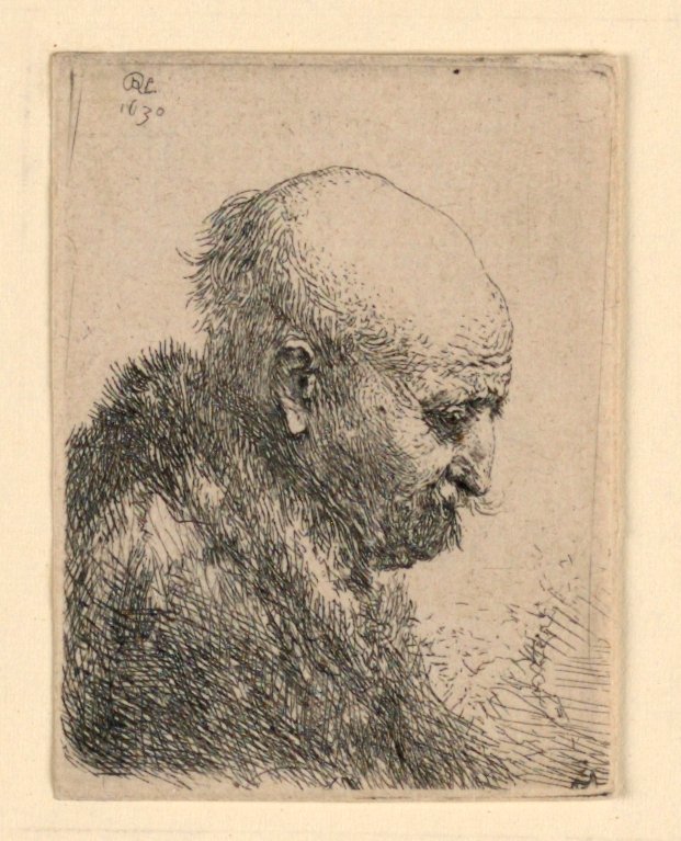 Skallet hode mann i profil høyre: liten byste; Kunstnerens far? av Rembrandt van Rijn