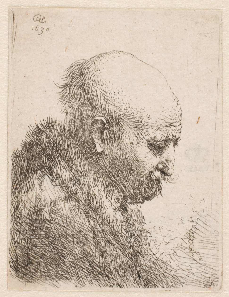 Skallhåret mann (Rembrandts far) sett i profil mot høyre; liten byste av Rembrandt van Rijn