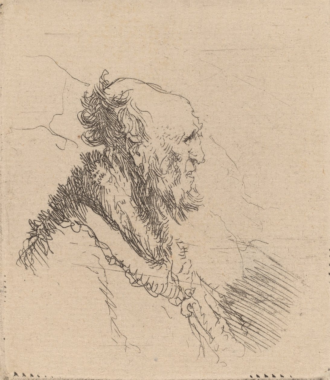 Skallet gammel mann med kort skjegg i profil, ca. 1635. av Rembrandt van Rijn
