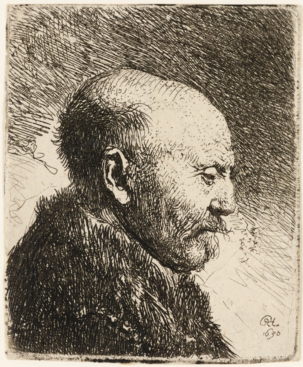 Skallet mann i profil til høyre: Rembrandts far 1630. av Rembrandt van Rijn