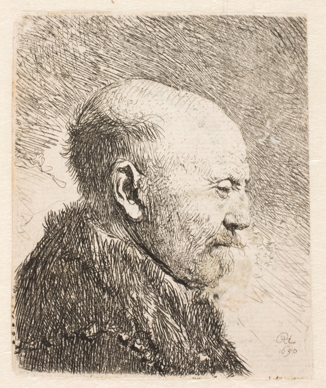 Skallet mann i profil (Rembrandts far?) av Rembrandt van Rijn