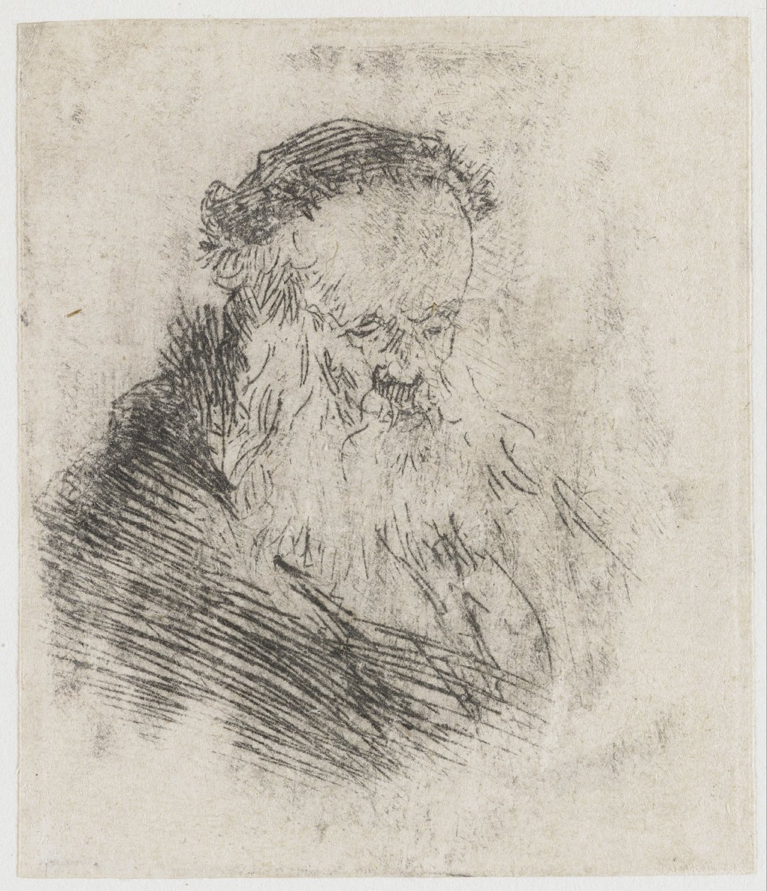 En skjegget gammel mann med høy panne av Rembrandt van Rijn