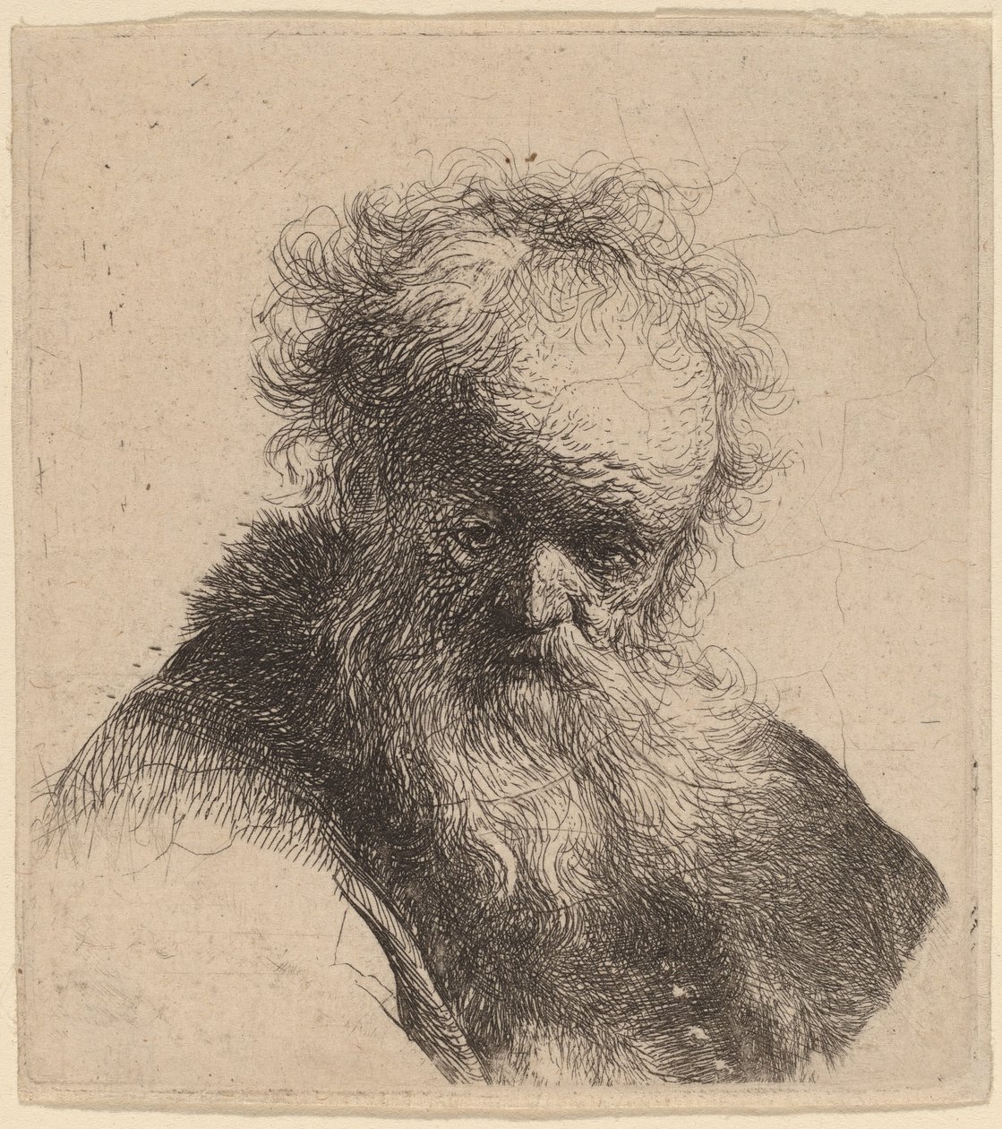 Byste av en gammel mann med flytende skjegg og hvit erme av Rembrandt van Rijn