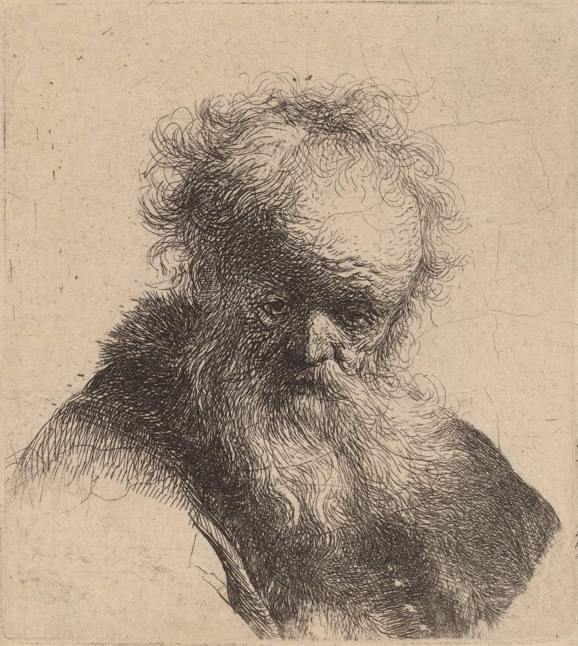 Byste av en gammel mann med flytende skjegg og hvit erme, ca. 1630. av Rembrandt van Rijn