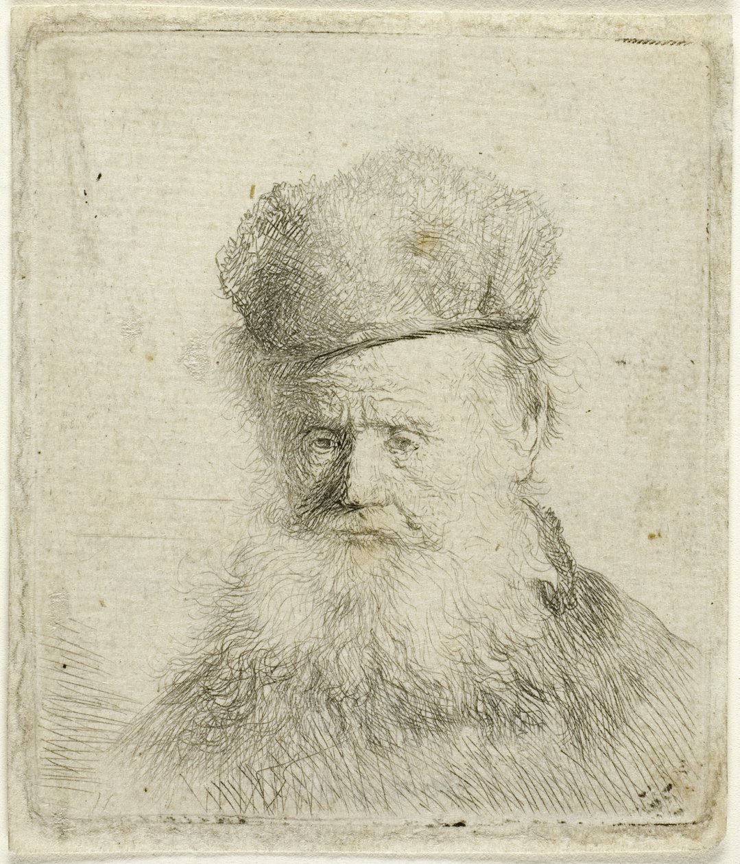 Byste av en gammel mann med en pelshatt og flytende skjegg, nesten fullt ansikt av Rembrandt van Rijn