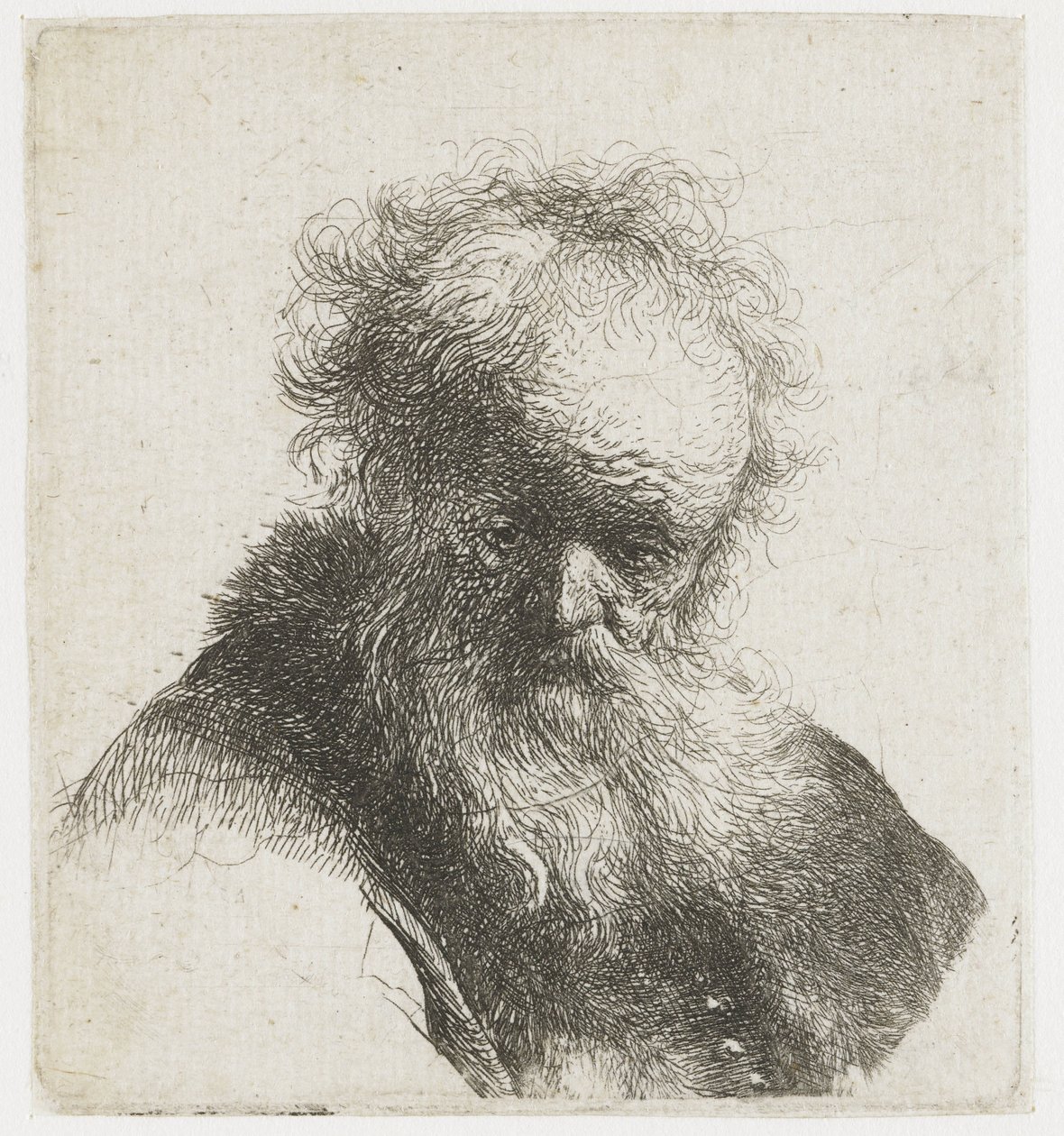 Byste av en gammel mann med flytende skjegg og hvit erme av Rembrandt van Rijn