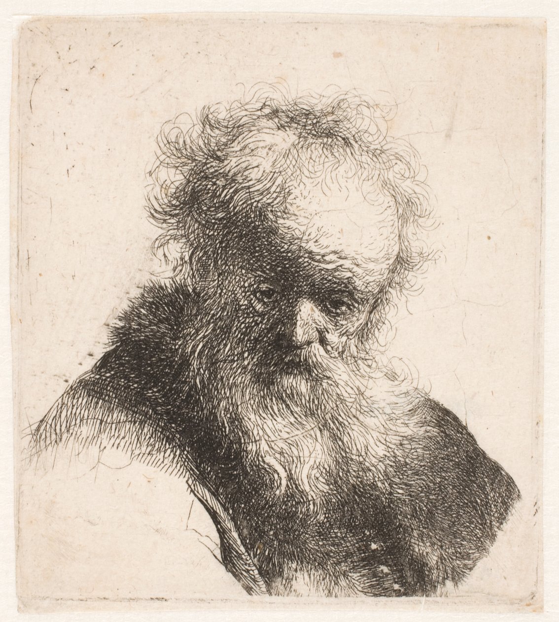 Byste av en gammel mann med langt skjegg og hvit erme av Rembrandt van Rijn