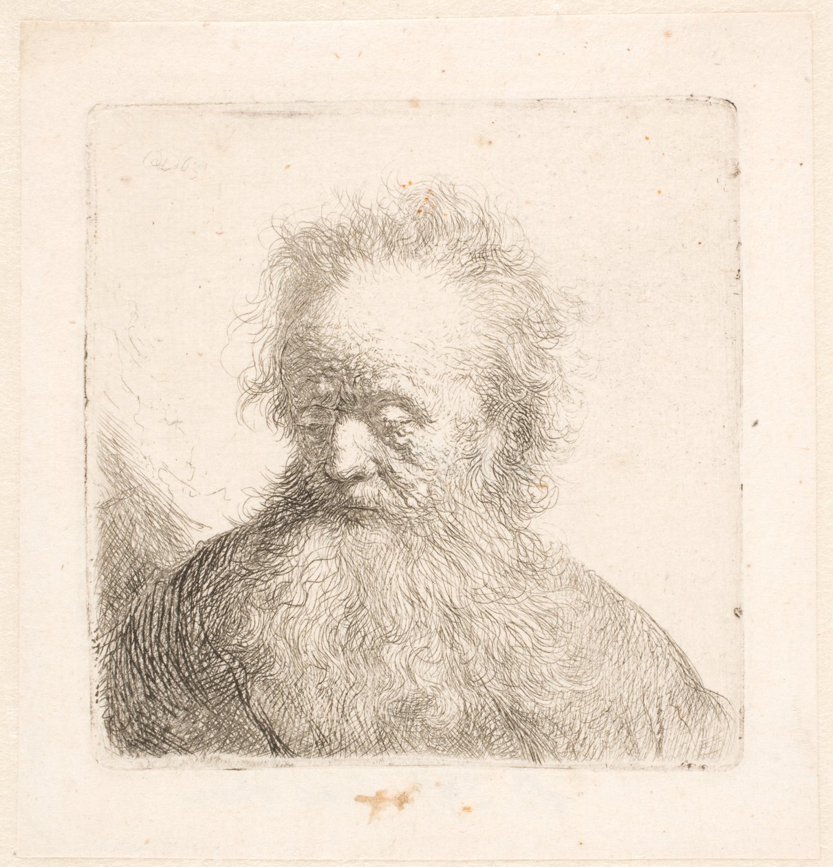 Byste av en gammel mann med langt skjegg: hodet nesten oppreist: blikket vendt ned: ser litt mot venstre av Rembrandt van Rijn