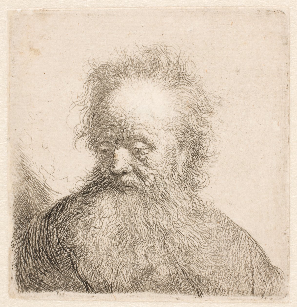 Byste av en gammel mann med langt skjegg: hodet nesten oppreist: blikket vendt ned: ser litt mot venstre av Rembrandt van Rijn