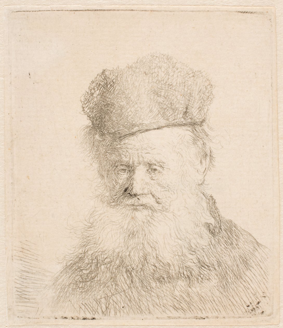 Byste av en gammel mann med pelslue og langt skjegg: nesten i full profil: blikket rettet fremover av Rembrandt van Rijn