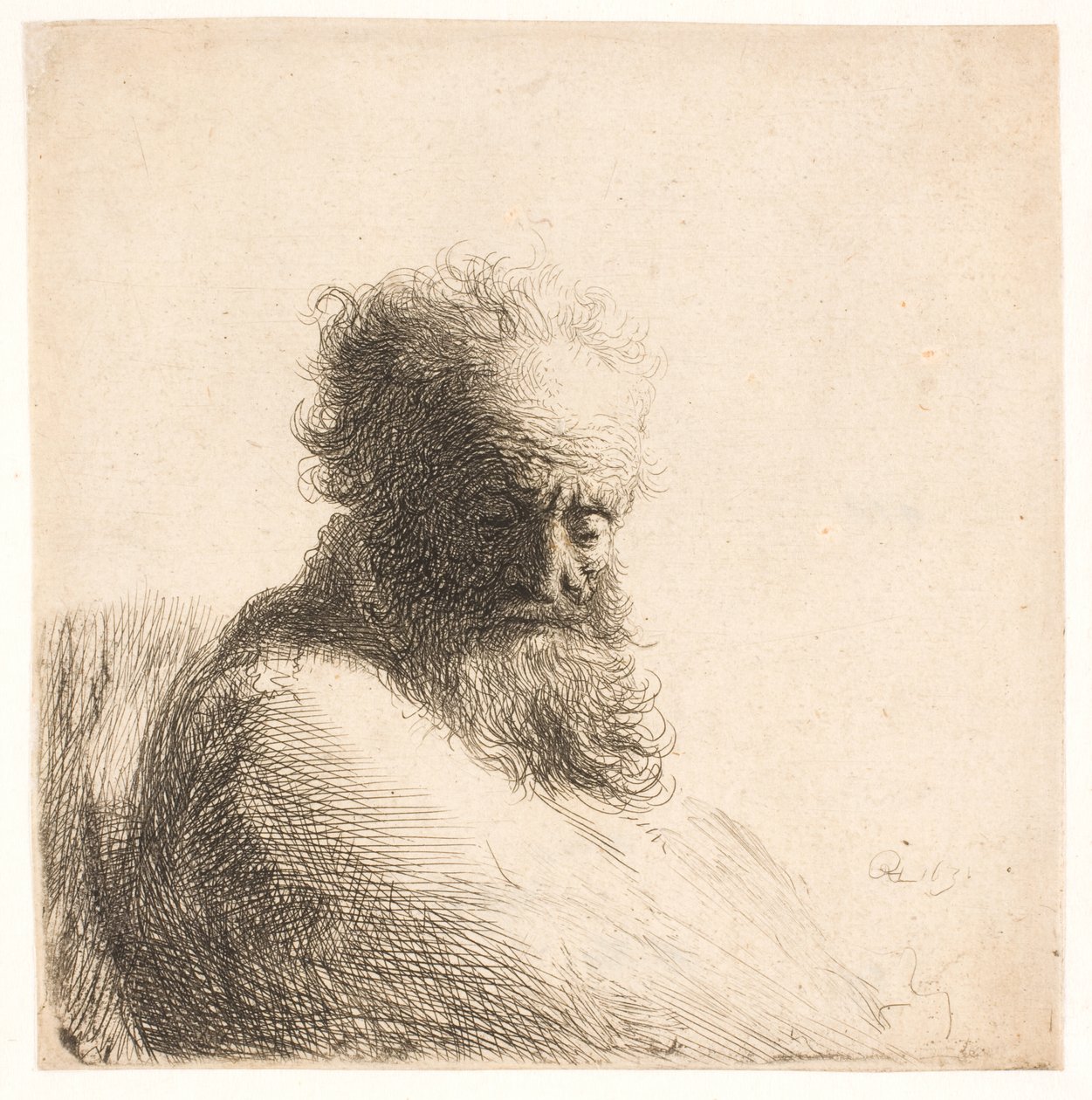 Gammel skjeggete mann. Bryst av Rembrandt van Rijn