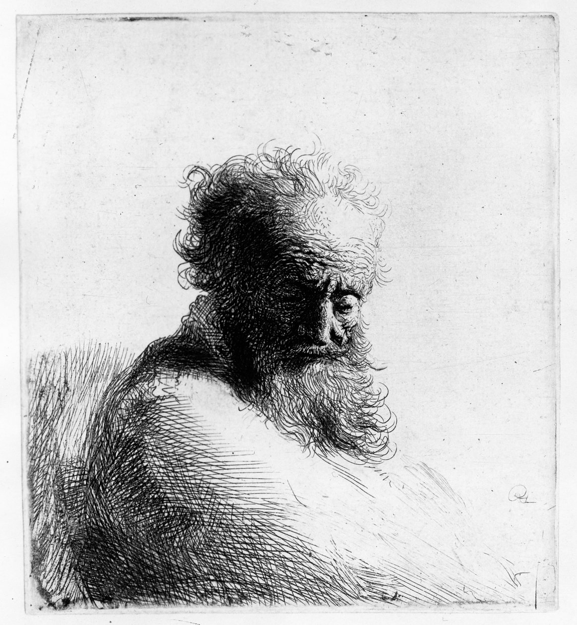 Hodet til en gammel mann, 1631 av Rembrandt van Rijn