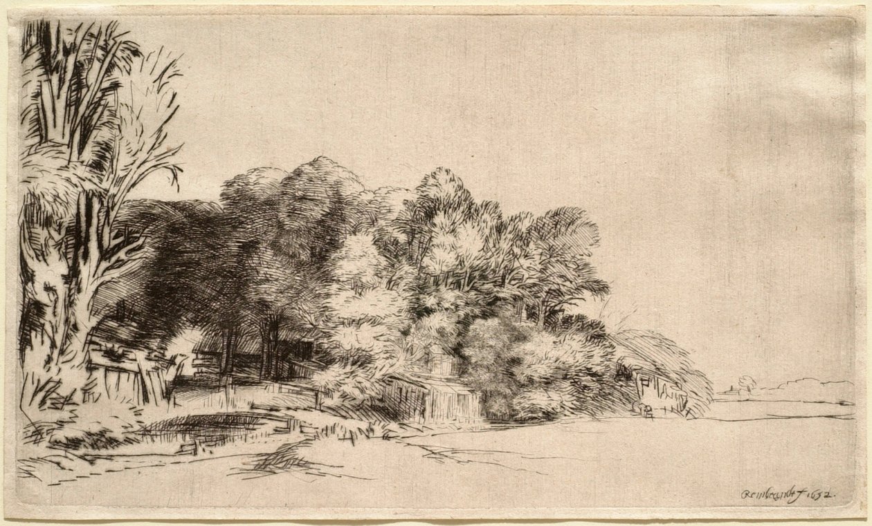 Landskap med en gruppe trær av Rembrandt van Rijn