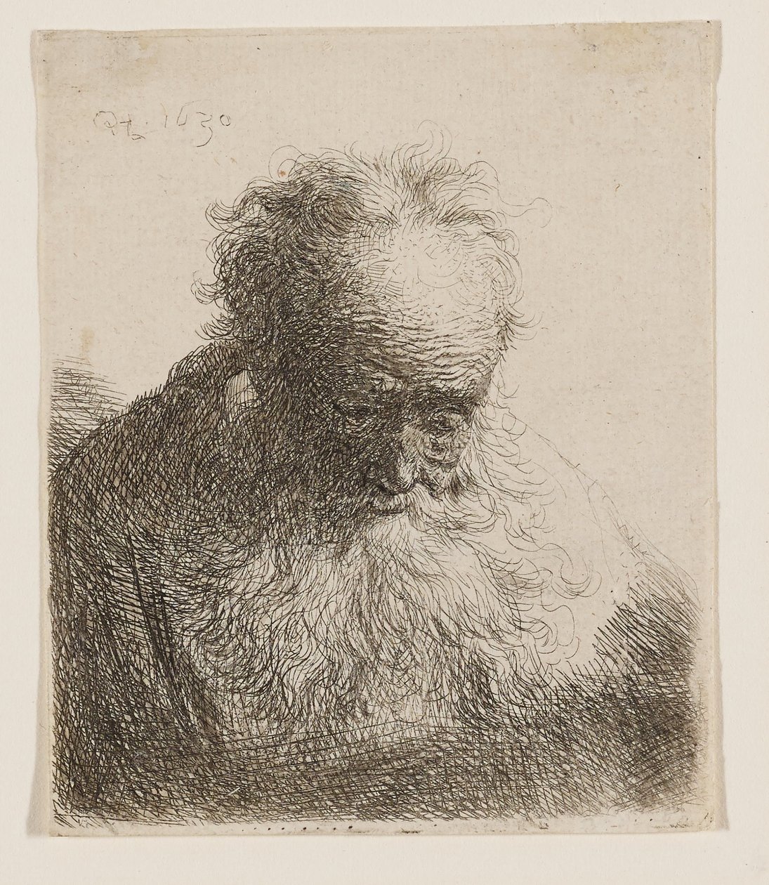 Gammel mann med bølgende skjegg (hodet bøyd fremover, venstre skulder uten skygge) av Rembrandt van Rijn