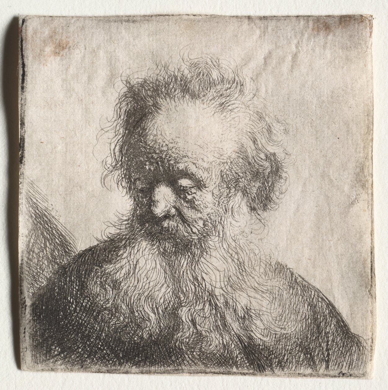 Gammel mann med flytende skjegg: Bust av Rembrandt van Rijn