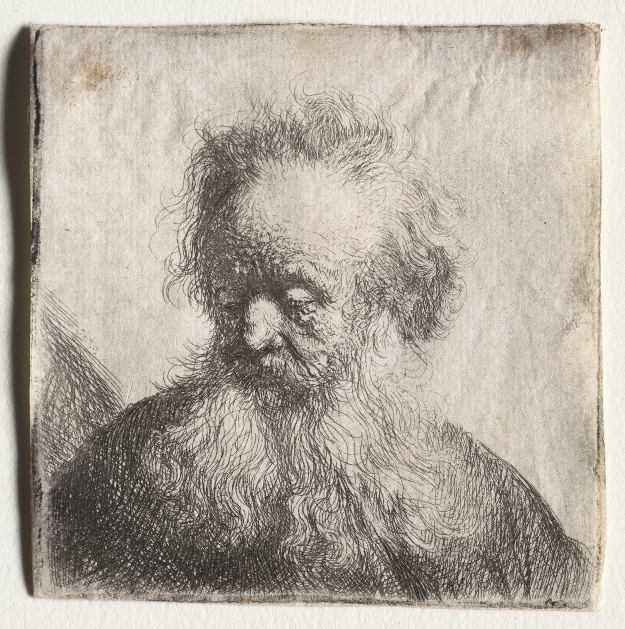 Gammel mann med flytende skjegg: Byste, 1631. av Rembrandt van Rijn