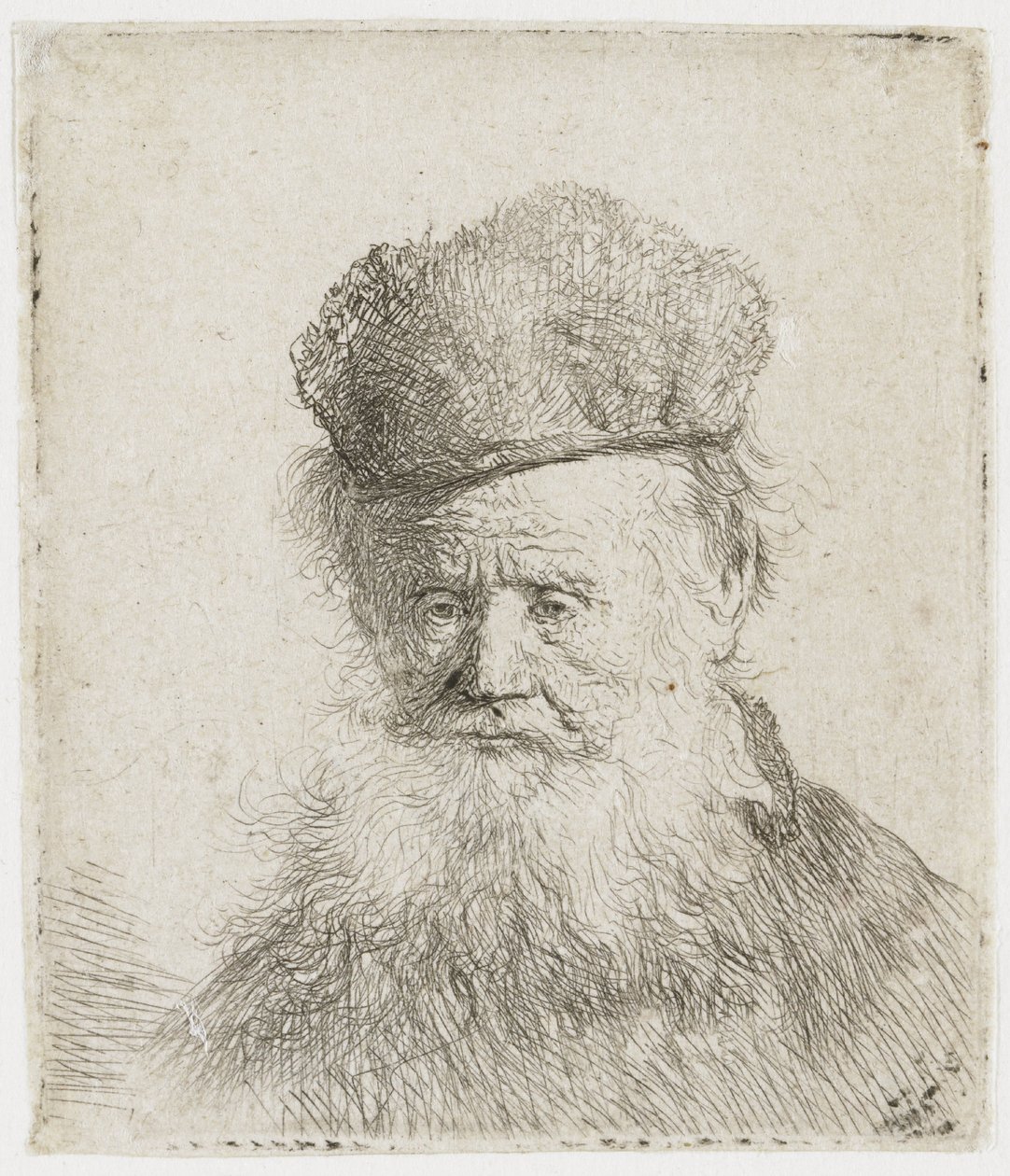 Gammel mann med pelslue og langt skjegg av Rembrandt van Rijn