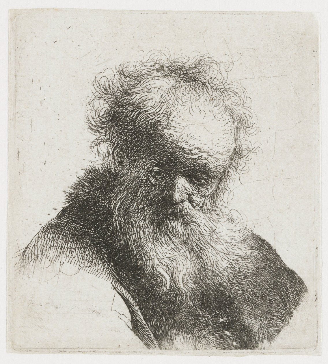 Gammel mann med langt skjegg og hvit erme av Rembrandt van Rijn