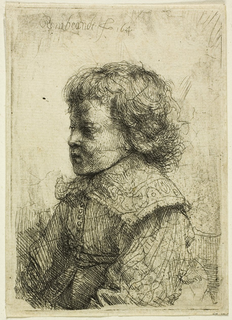 Portrett av en gutt av Rembrandt van Rijn