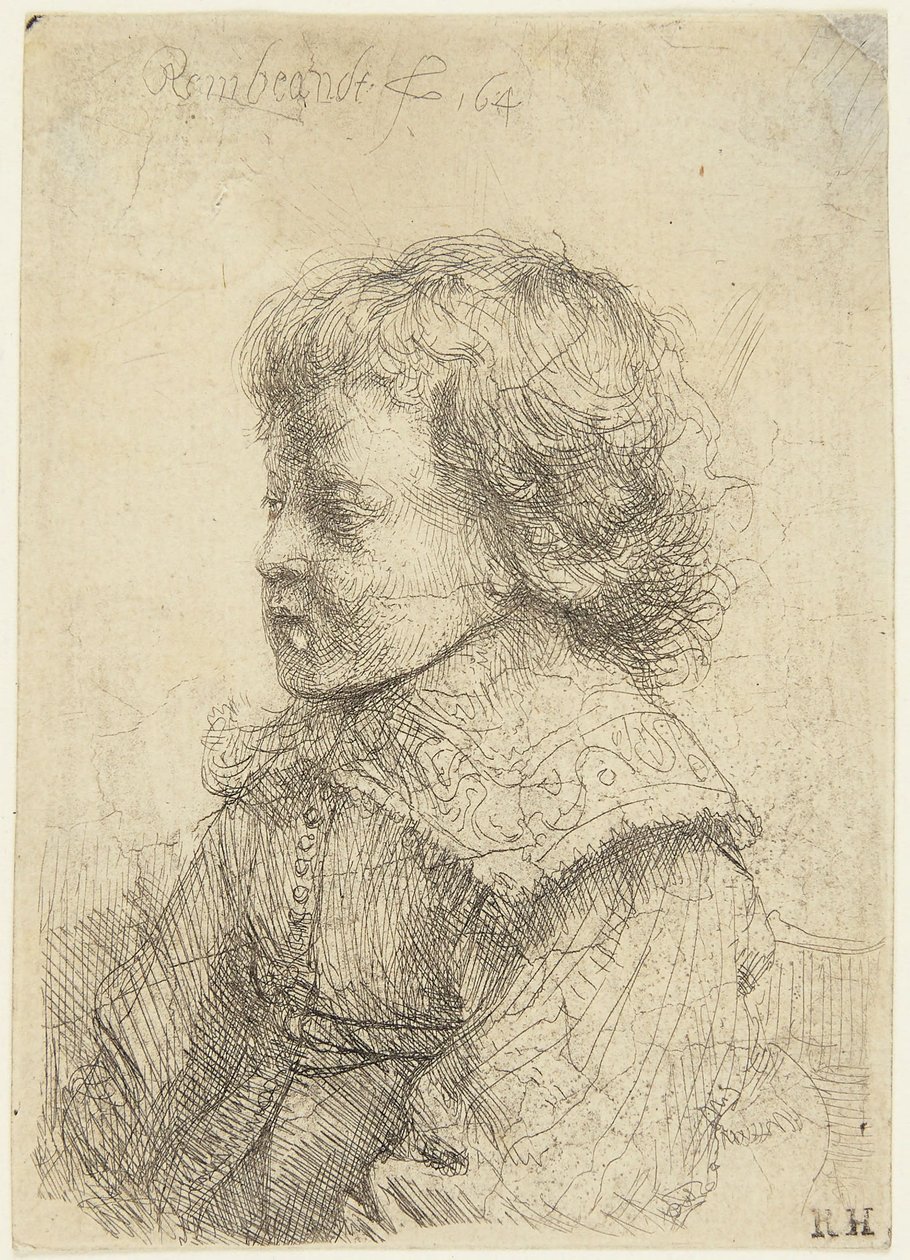 Portrett av en gutt av Rembrandt van Rijn