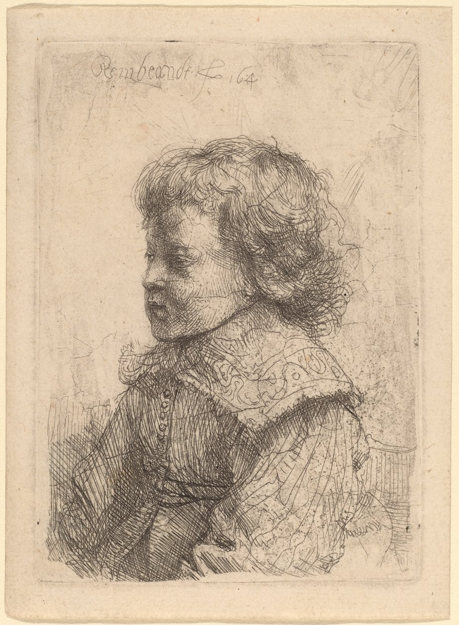 Portrett av en gutt i profil av Rembrandt van Rijn