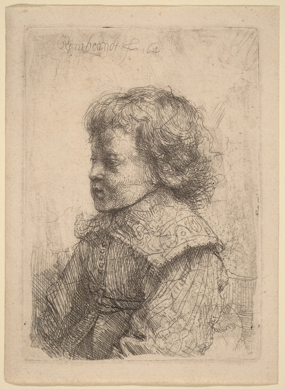 Portrett av en gutt i profil av Rembrandt van Rijn