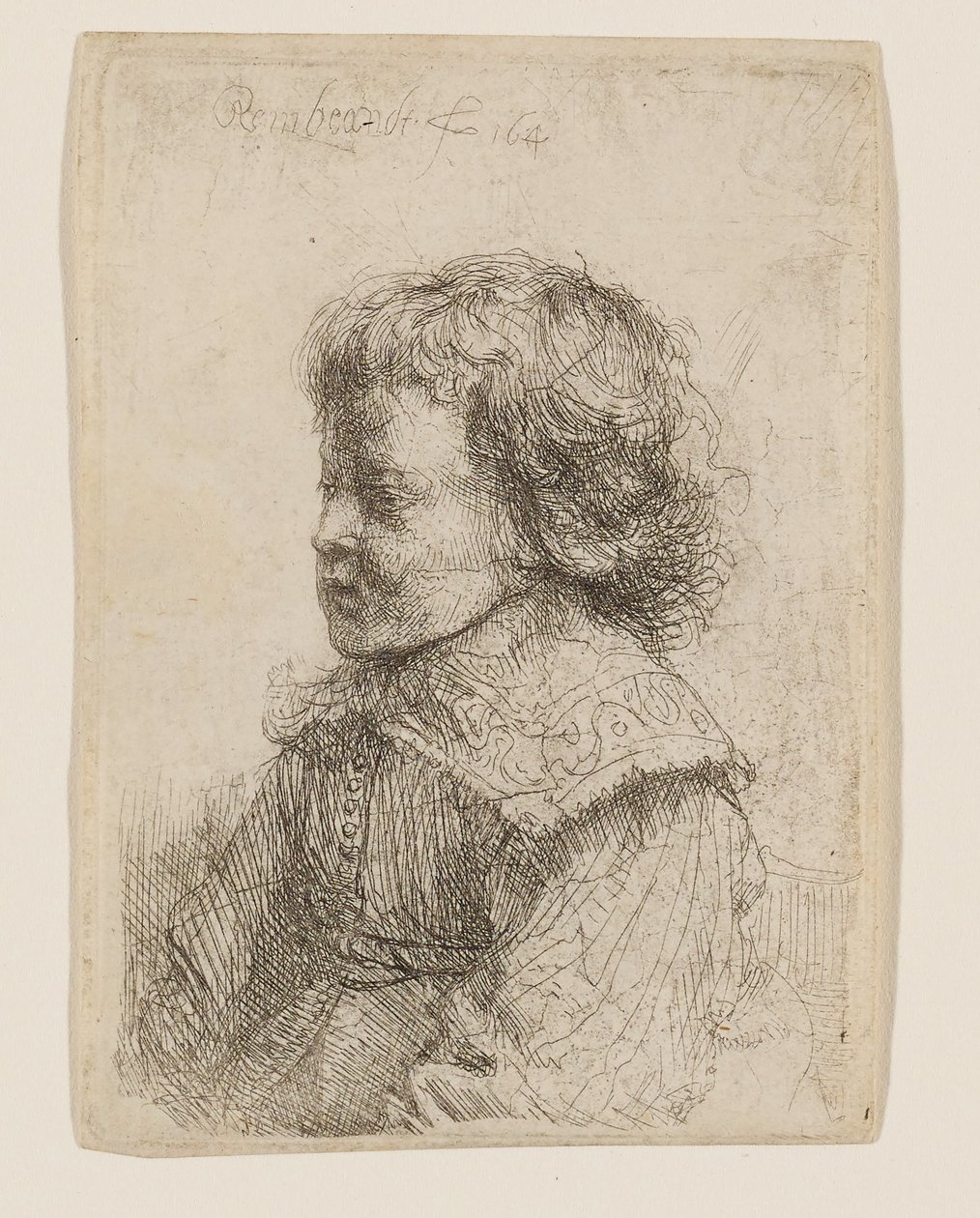 Portrett av en gutt i profil av Rembrandt van Rijn