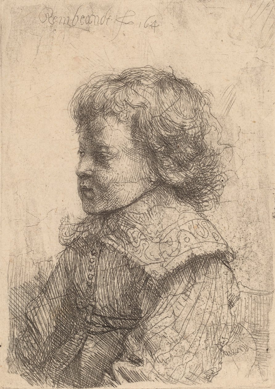Portrett av en gutt i profil, 1641. av Rembrandt van Rijn
