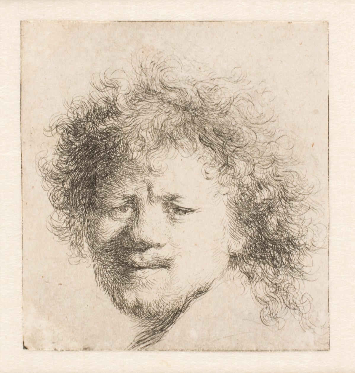 Rembrandt med langt, buskete hår: kun hodet av Rembrandt van Rijn