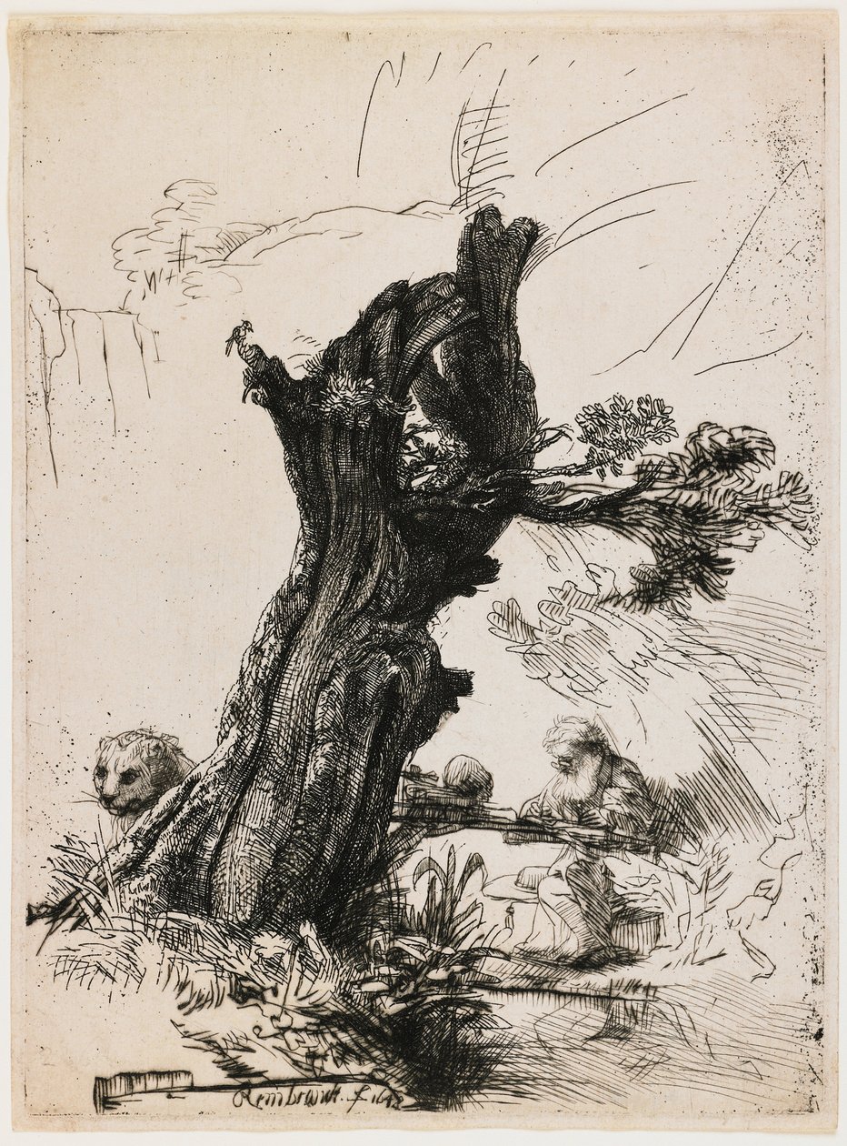 Den hellige Hieronymus ved den pollardede pilen av Rembrandt van Rijn