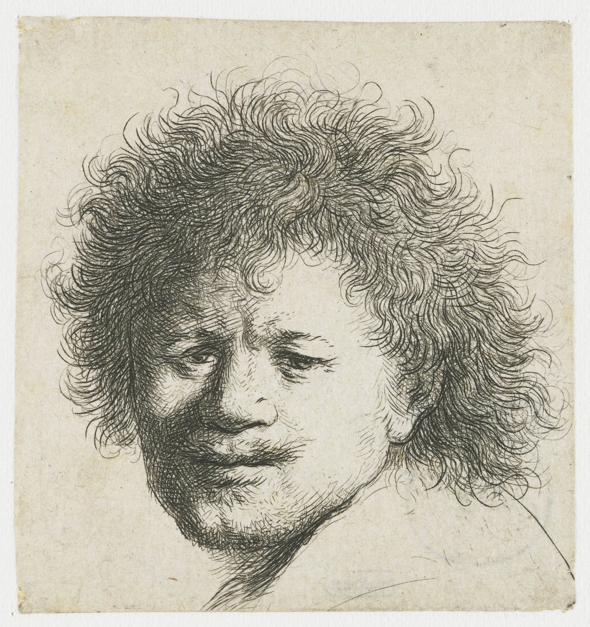 Selvportrett med langt buskete hår: kun hode av Rembrandt van Rijn