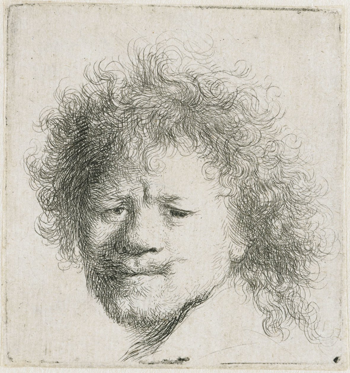 Selvportrett med langt, buskete hår: kun hodet av Rembrandt van Rijn