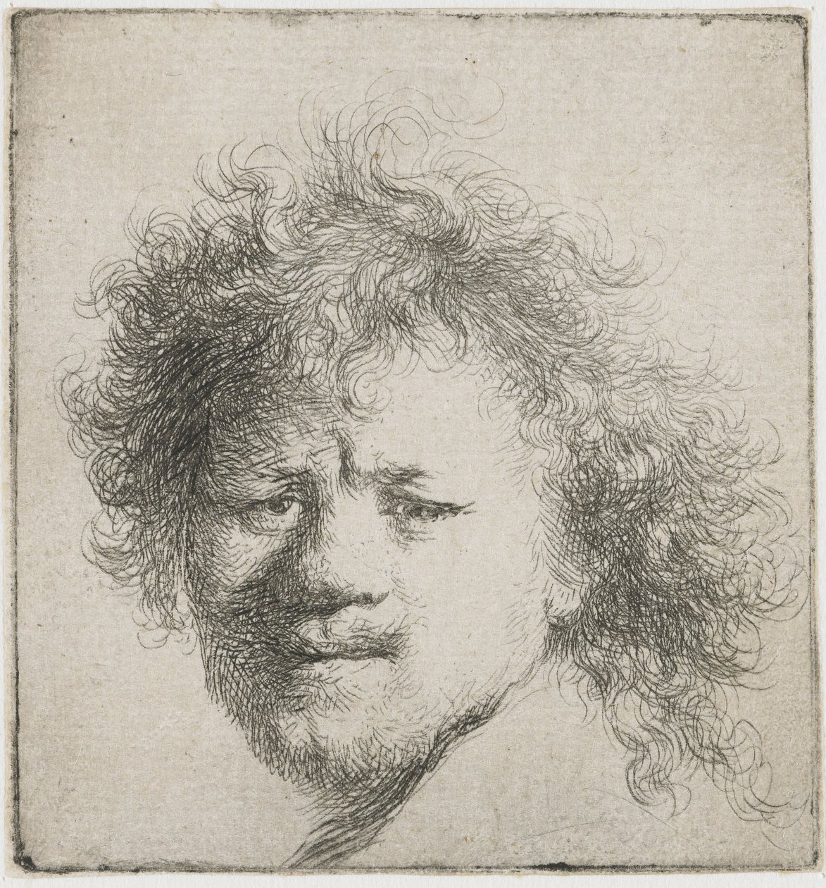 Selvportrett med langt buskete hår: kun hode, ca 1631. av Rembrandt van Rijn