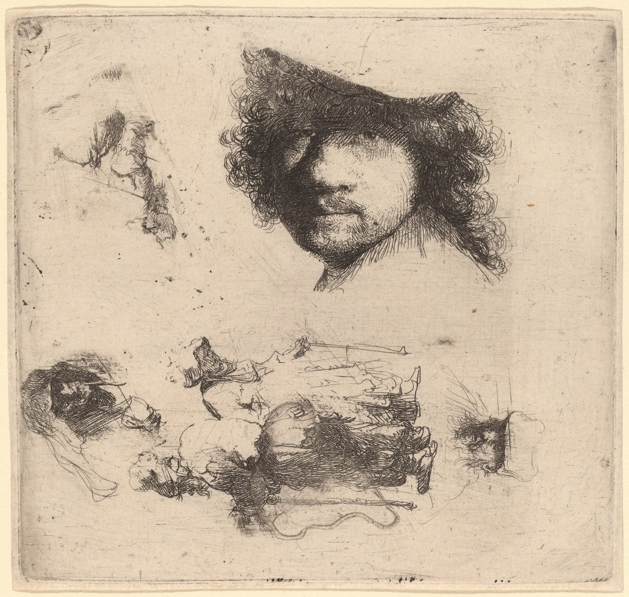 Studieark inkludert leder for kunstneren, et tiggerpar, ledere til en gammel mann og gammel kvinne av Rembrandt van Rijn