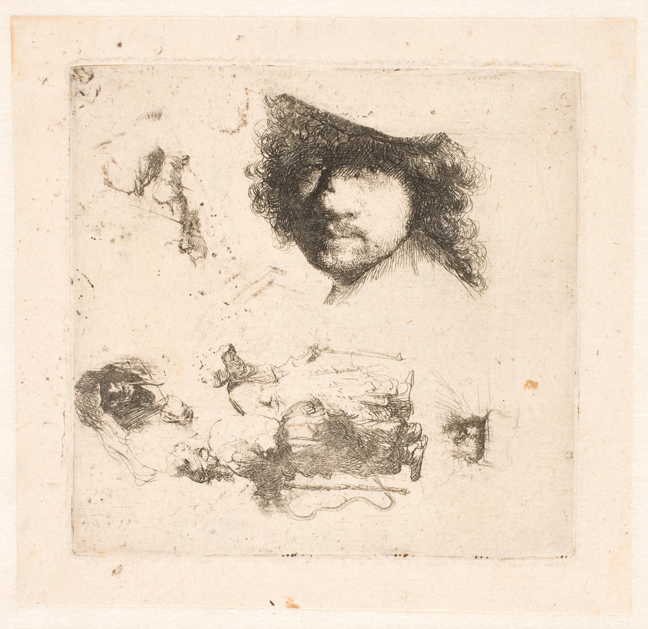 Studieark: sjef for Rembrandt, tiggerpar, sjefer for gammel mann og kjerring, etc. av Rembrandt van Rijn