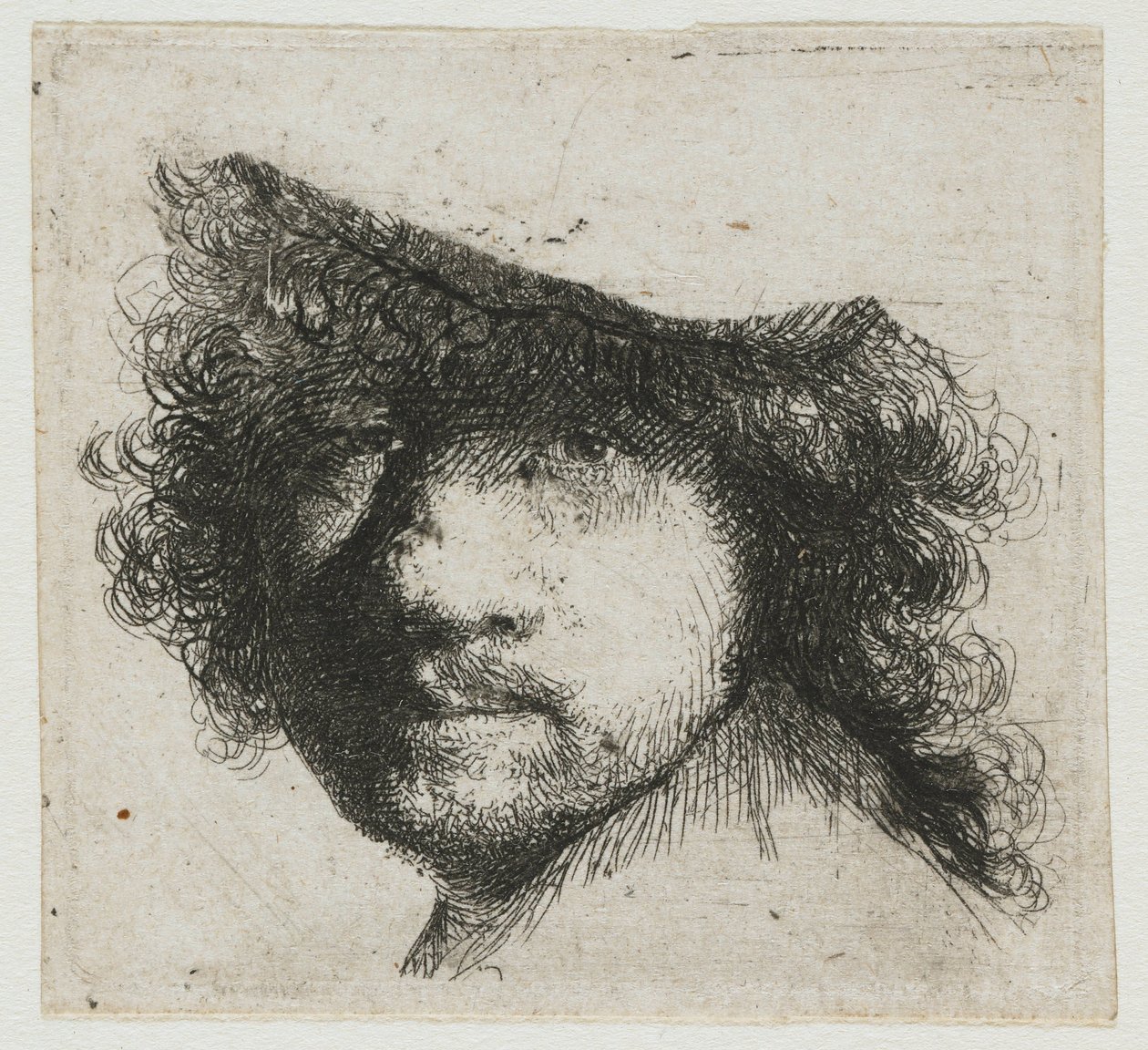 Studieark: leder av kunstneren av Rembrandt van Rijn