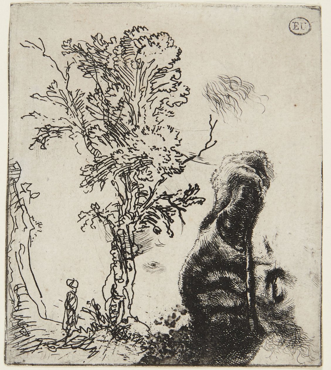 Ark med to studier: Et tre og den øvre delen av et selvportrett med fløyelslue av Rembrandt van Rijn
