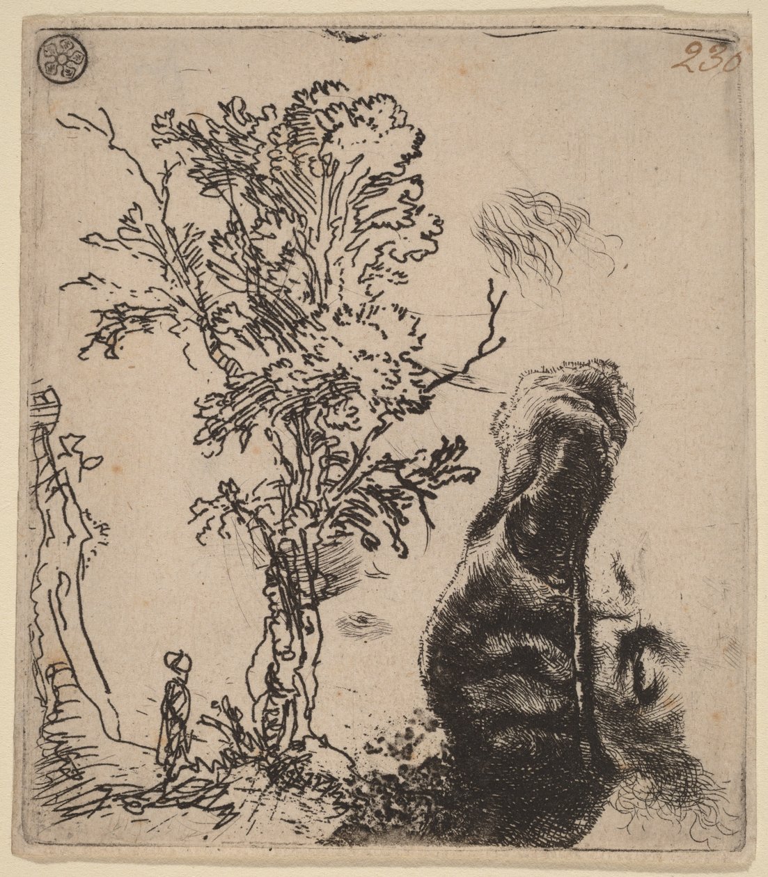 Ark med to studier: et tre og den øvre delen av kunstnerens hode med en fløyelslue av Rembrandt van Rijn